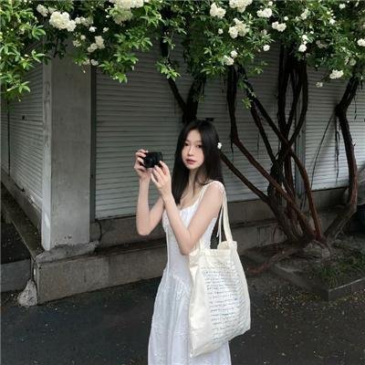 世界街头女斗士3